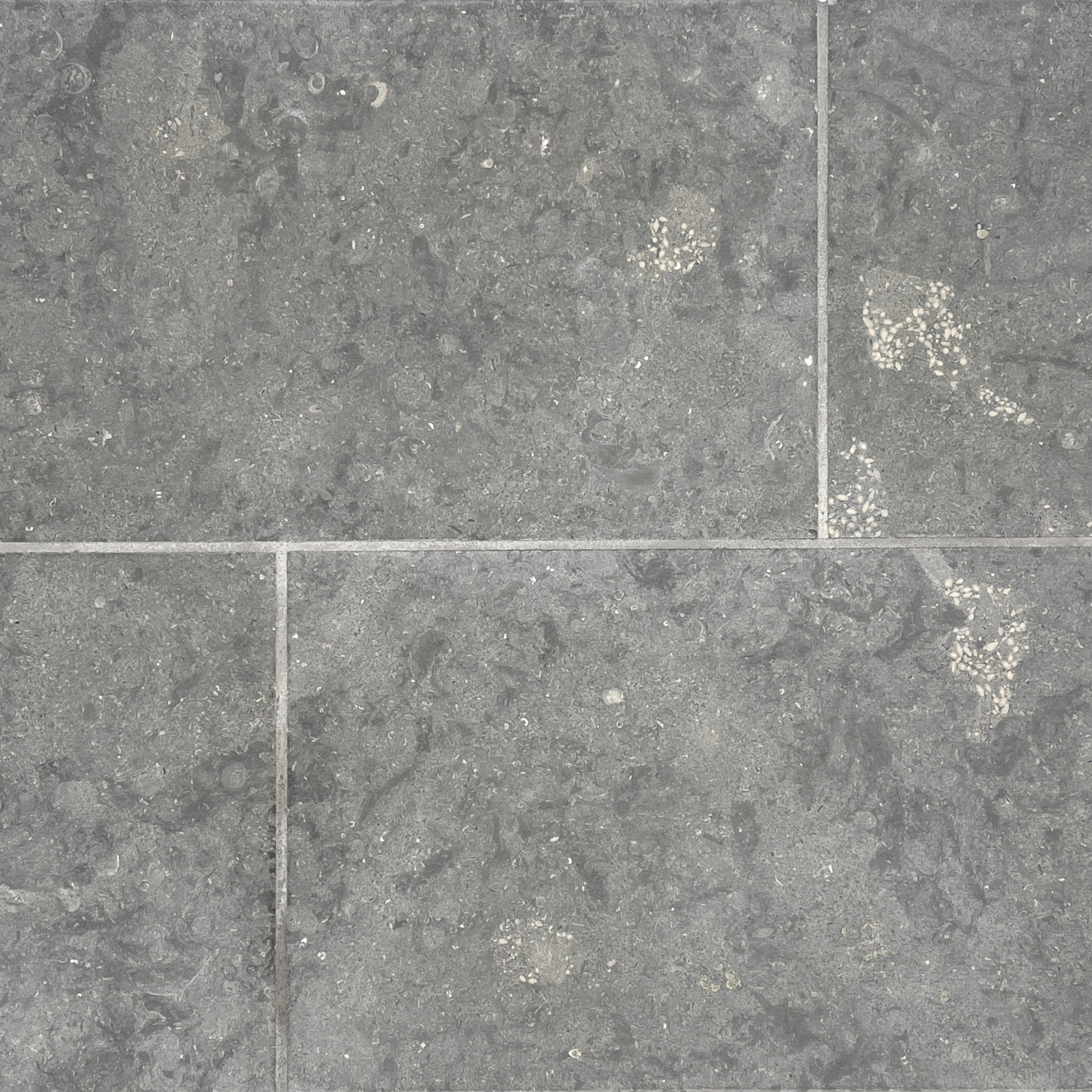 tuxedo grey limestone gray stone tile  sold by surface group