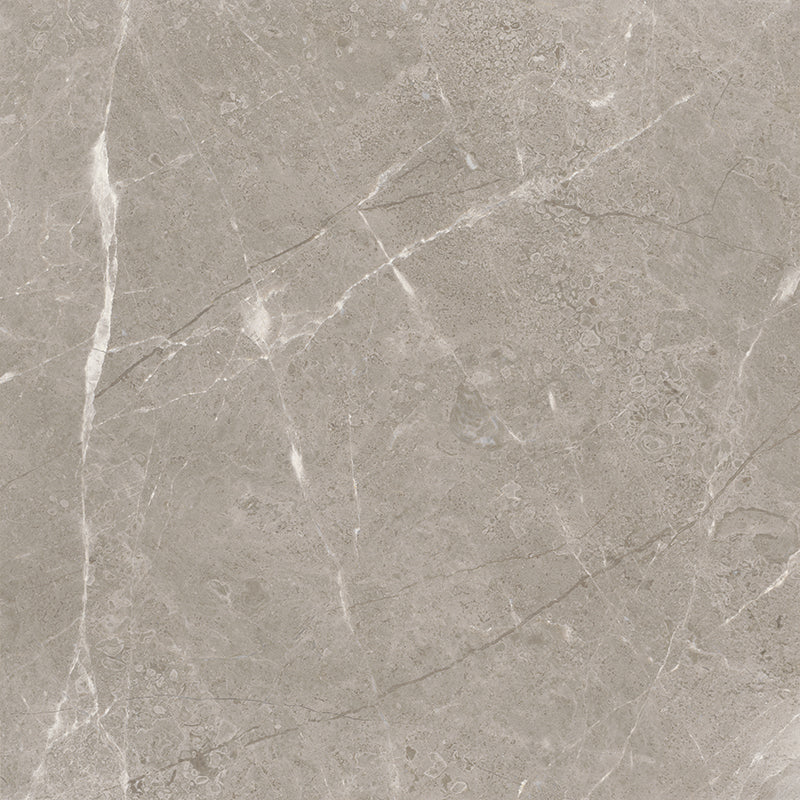 anatolia marble ritz gray natural stone field tile honed straight edge square 12x12 sold by surface group international