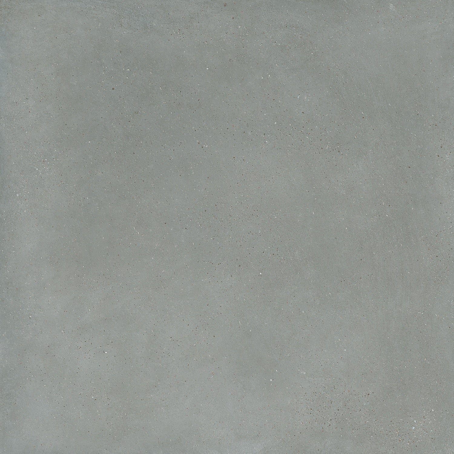 Matte silver-gray porcelain paving tile with a sleek, industrial texture, evoking the raw elegance of sedimentary rock and urban minimalism.