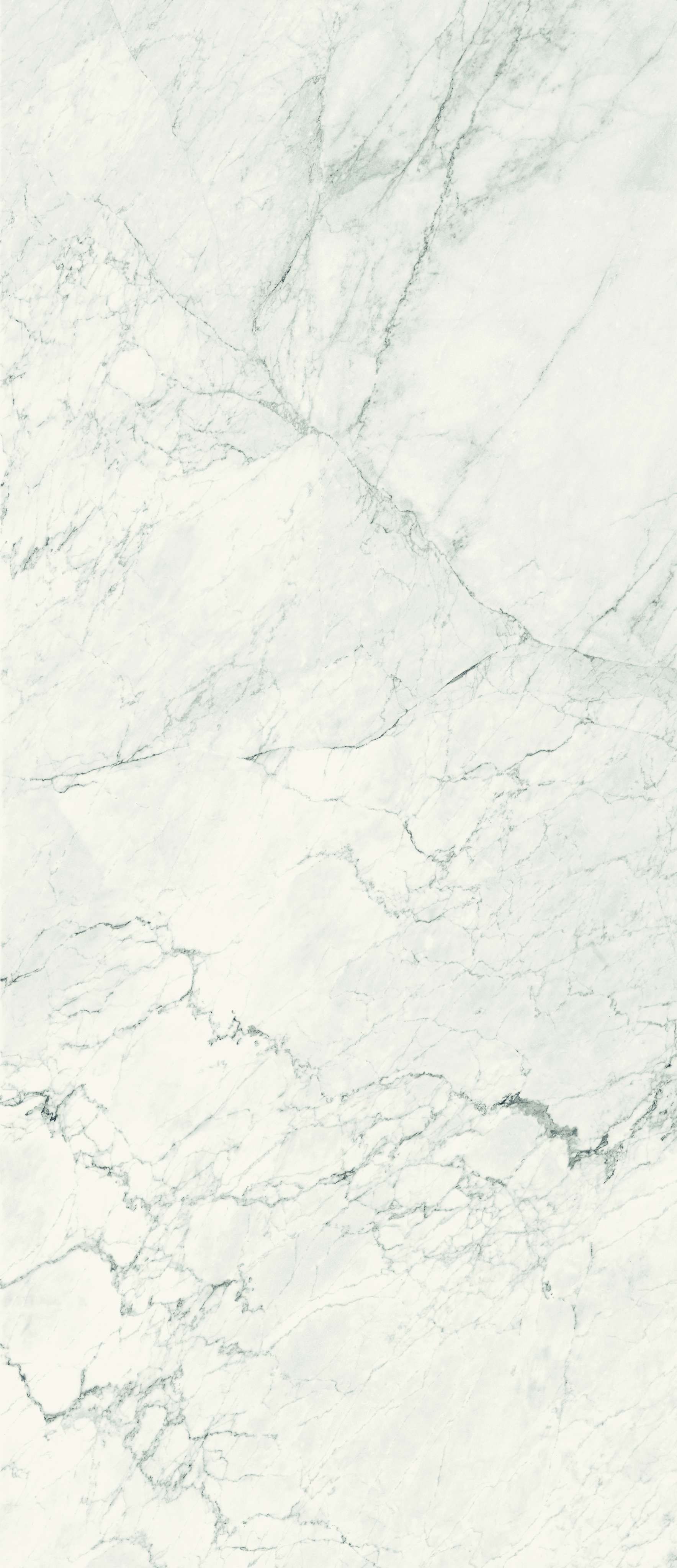 AESTHETICA: Calacatta Extra White Marble Rectangle Flat Wall Porcelain Field Tile (47 1/4"x109 7/16"x6.5mm | semi glossy)