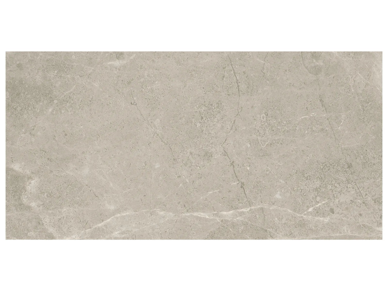 RITZ GRAY: Marble Field Tile (35¹⁵⁄₁₆"X17¹⁵⁄₁₆"X¹³⁄₁₆" | Honed)