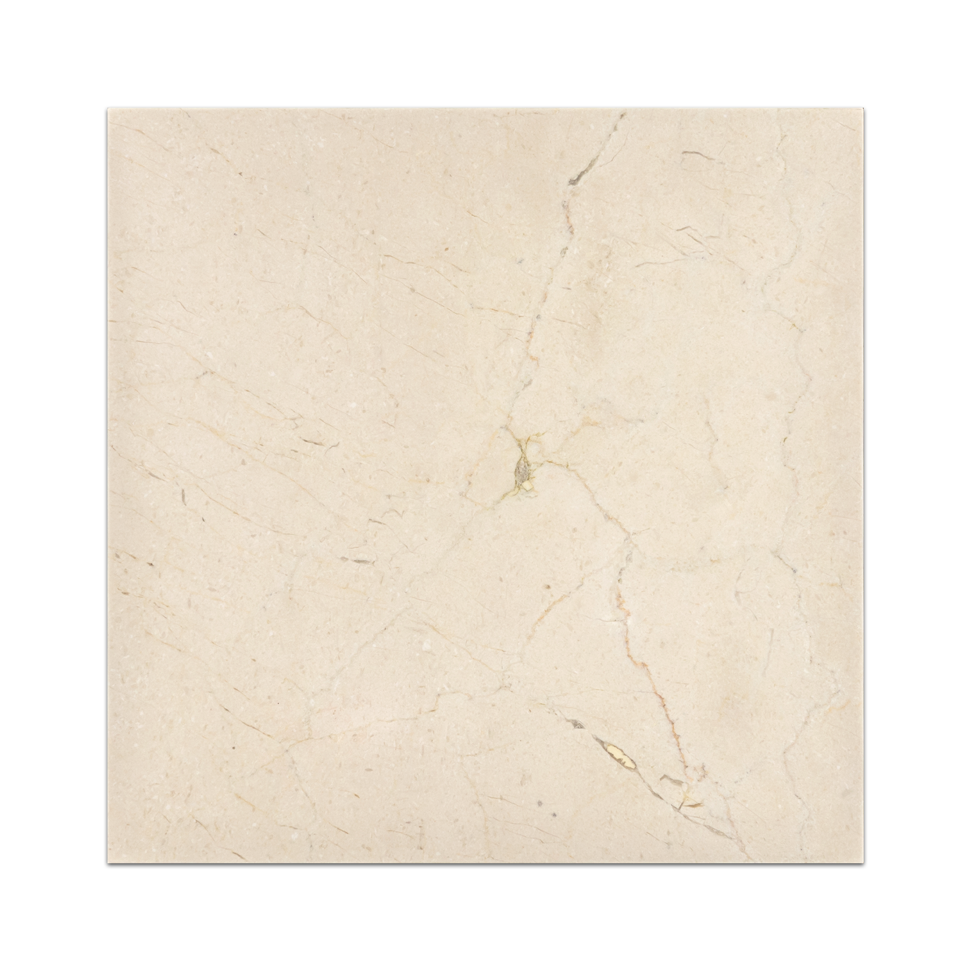 Elon Crema Marfil Marble Square Field Tile 12x12x0.375 Polished - Surface Group International