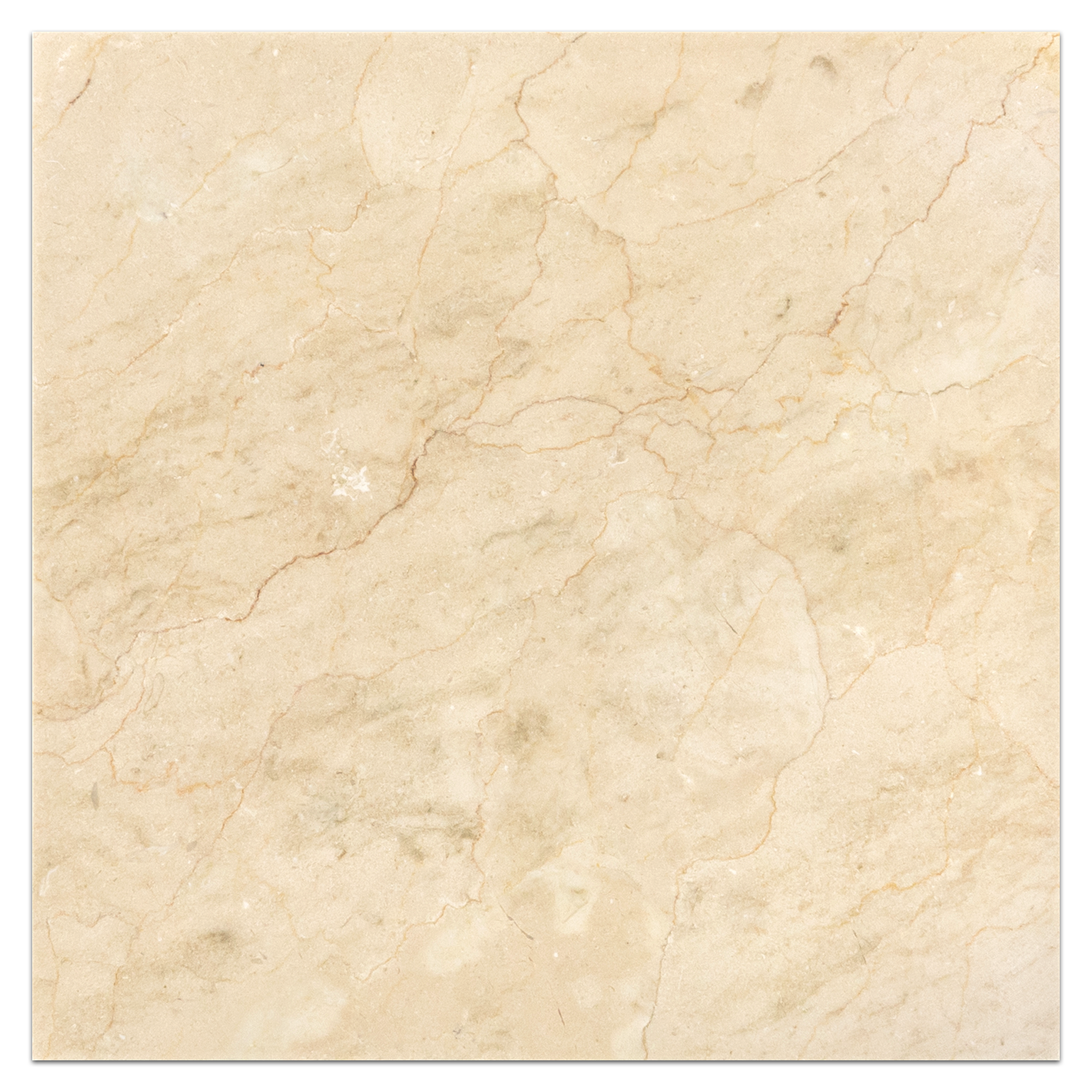 Elon Crema Marfil Marble 18x18 Honed Square Field Tile from Surface Group International.