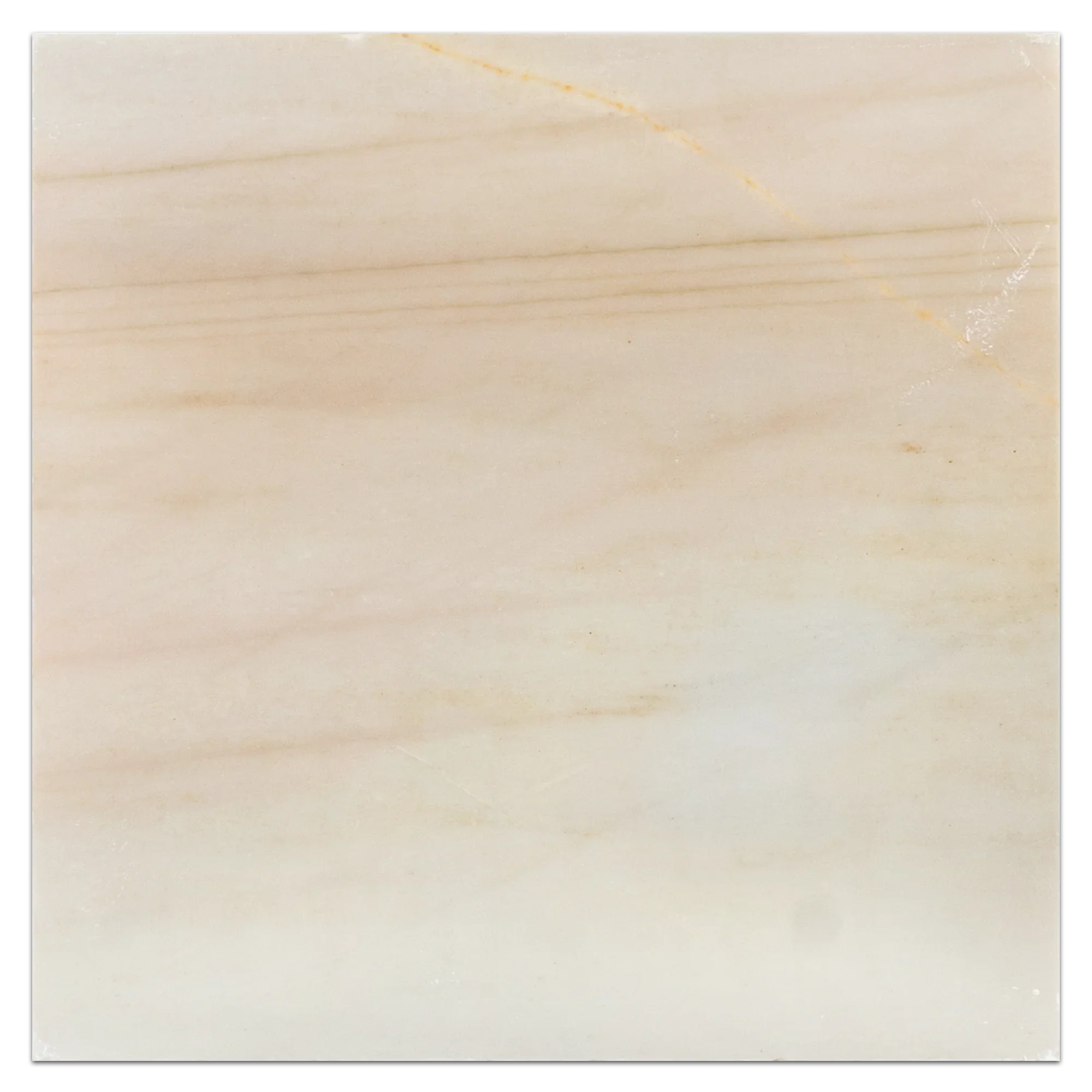 Elon Golden Sand Quartzite Square Field Tile 16x16x0.375 Honed SN1546H Surface Group International Product