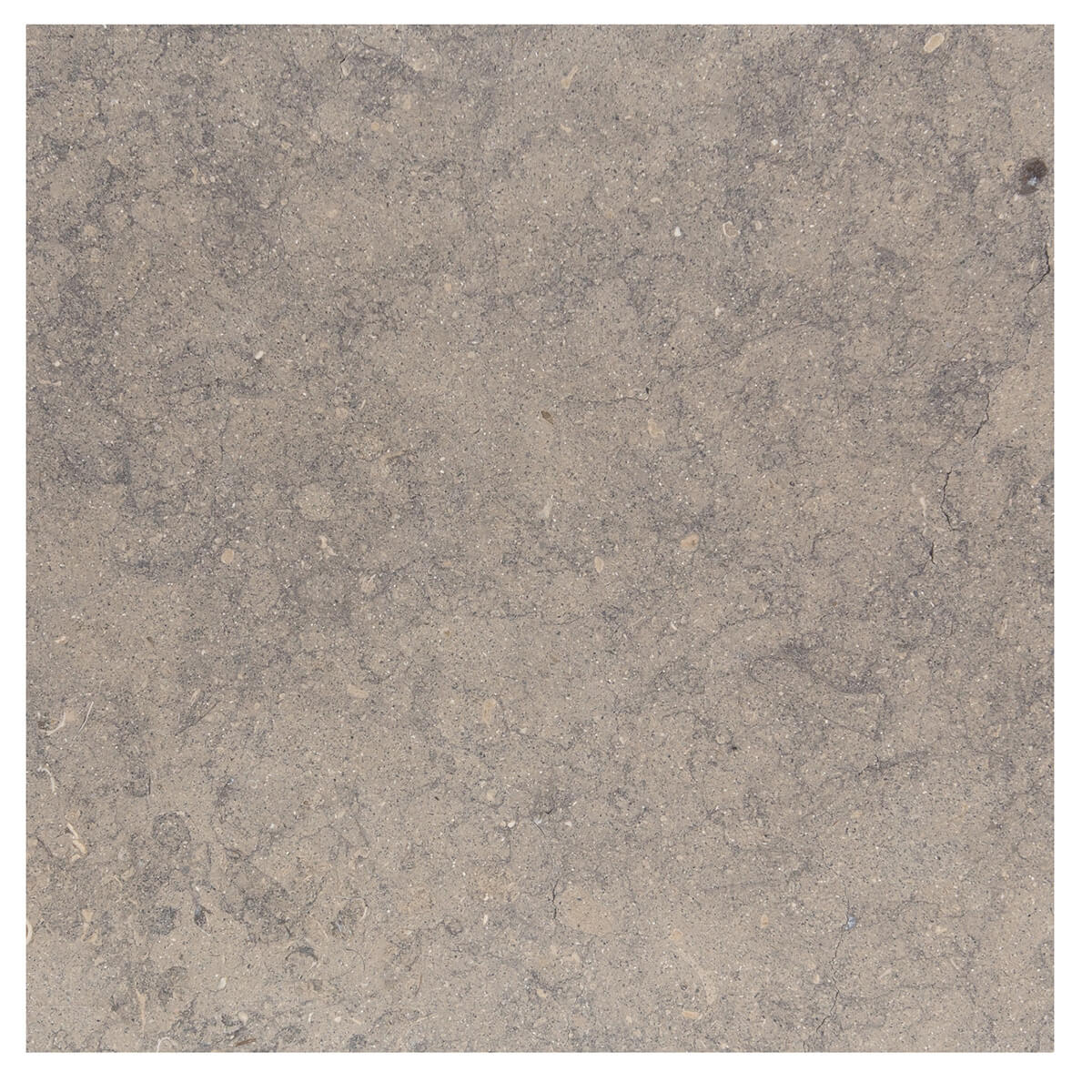 Côte d'Azur field tile by Haussmann Stone, high-quality limestone, 12x12x0.375 inches, honed finish, ideal for flooring and wall cladding.