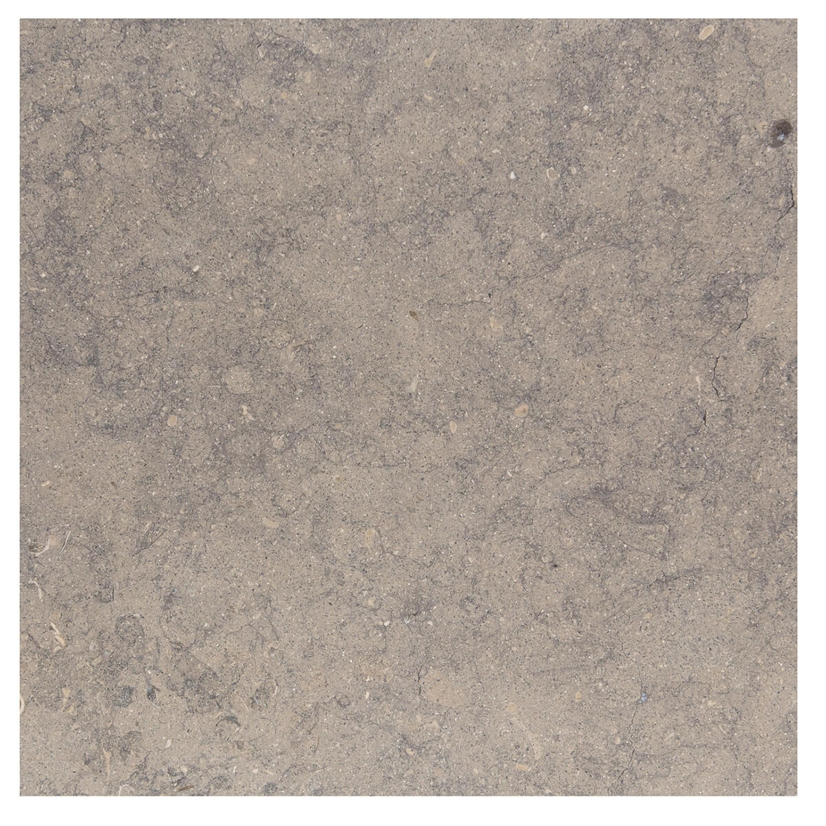 haussmann cote d azur limestone square natural stone field tile 12x12 honed