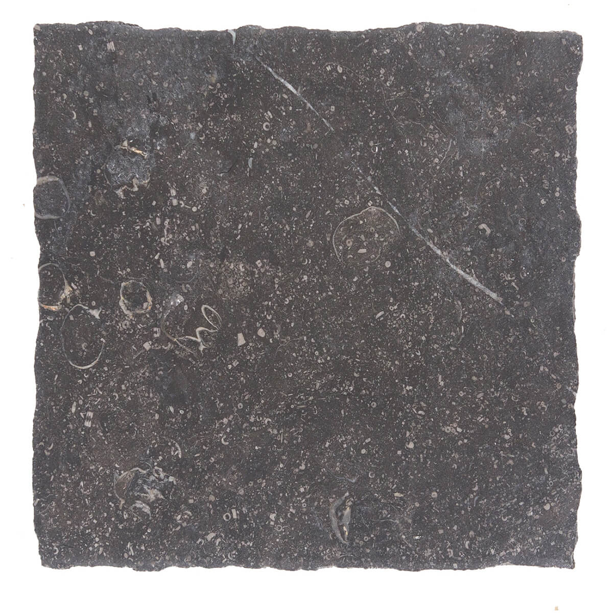 haussmann noir sully limestone square natural stone field tile 18x18 honed