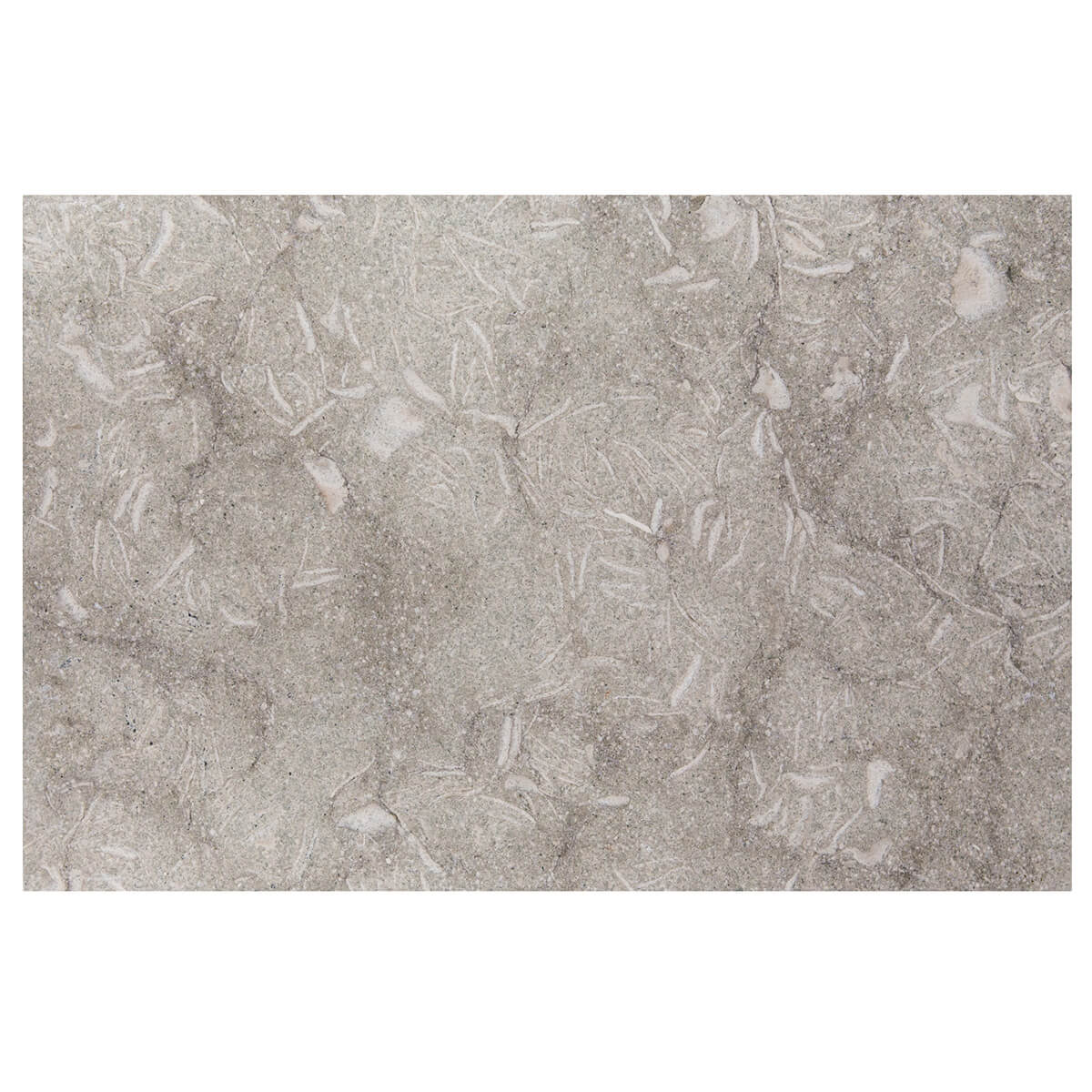 haussmann pistache seagrass limestone rectangle natural stone field tile 16x24 flamed