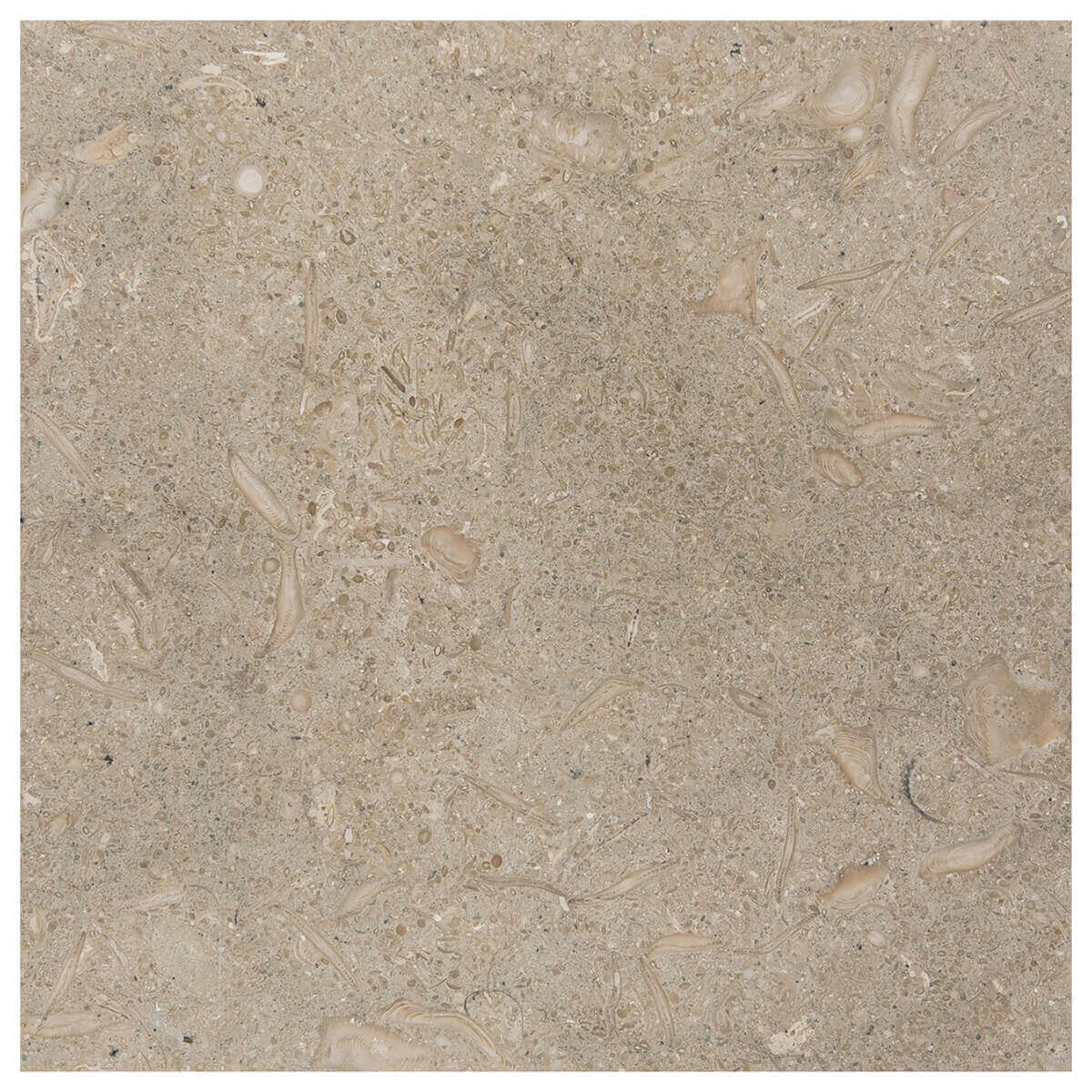 haussmann pistache seagrass limestone square natural stone field tile 12x12 honed