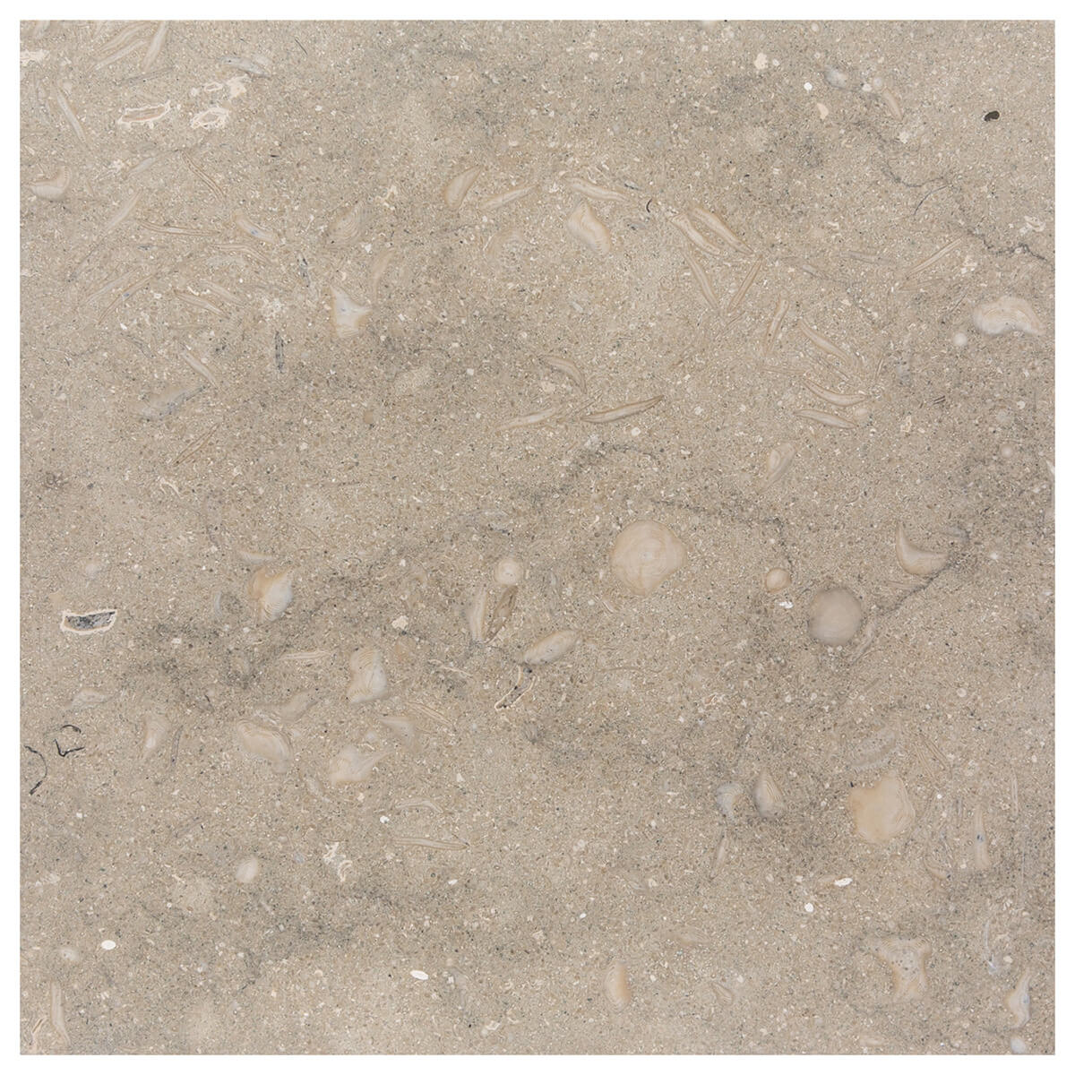 haussmann pistache seagrass limestone square natural stone field tile 18x18 honed