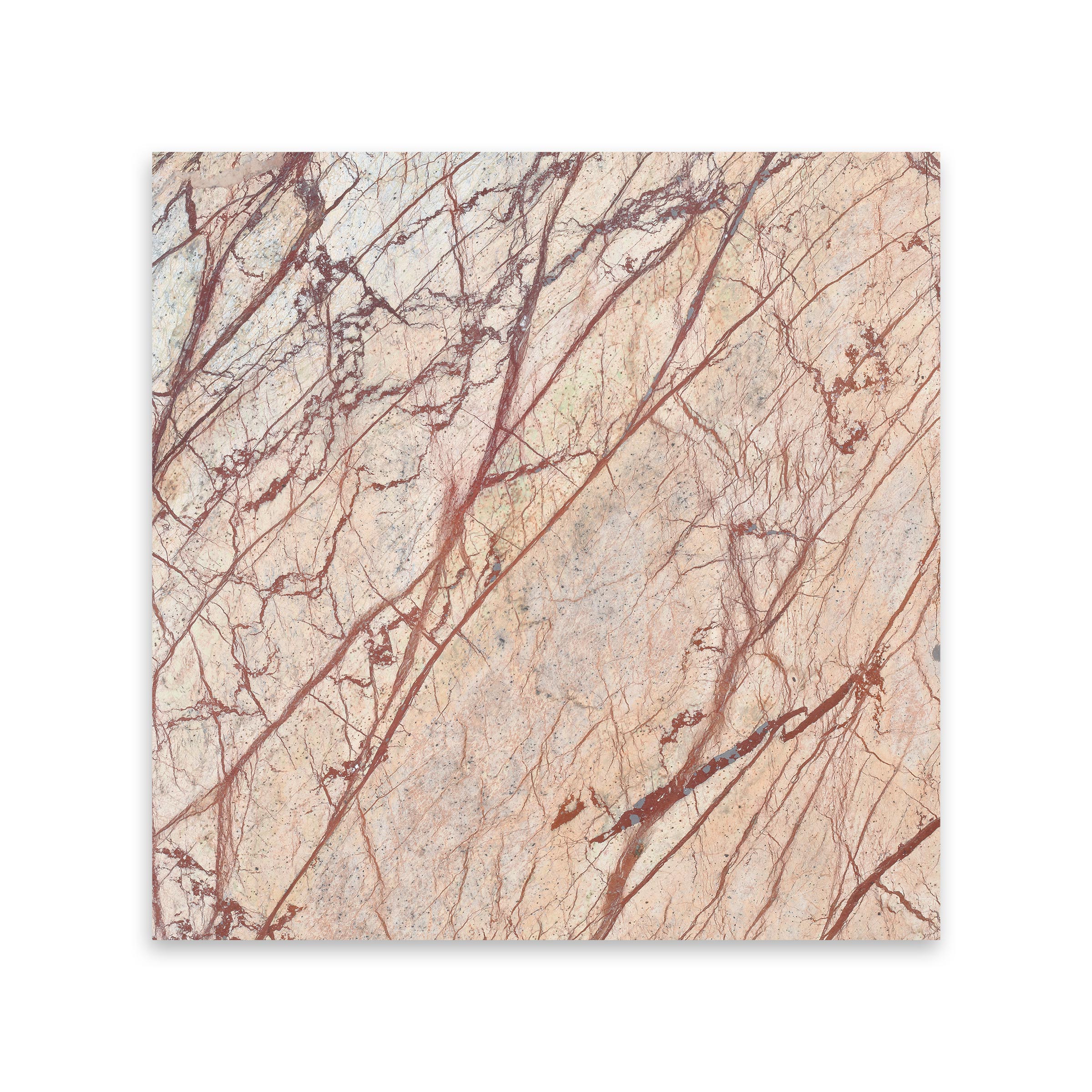RAIN FOREST BROWN: Marble Square Field Tile (12"x12"x3/8" | Polished)