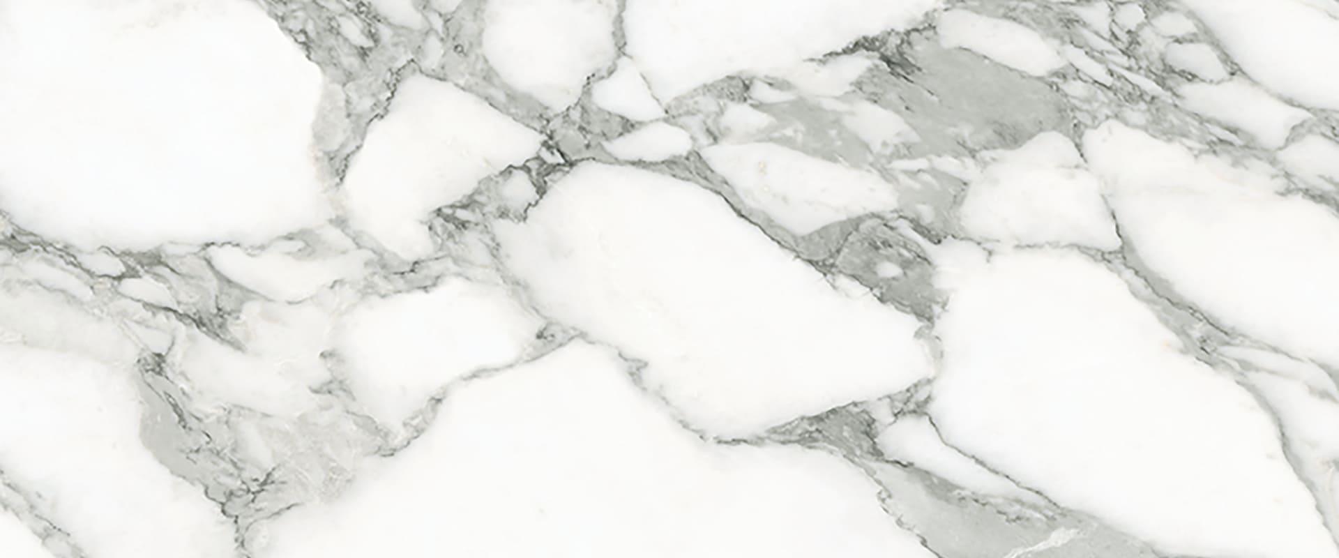 Tele Di Marmo Selection: Marble Arabescato Corchia Field Tile (24"x48"x9.5-mm | glossy)