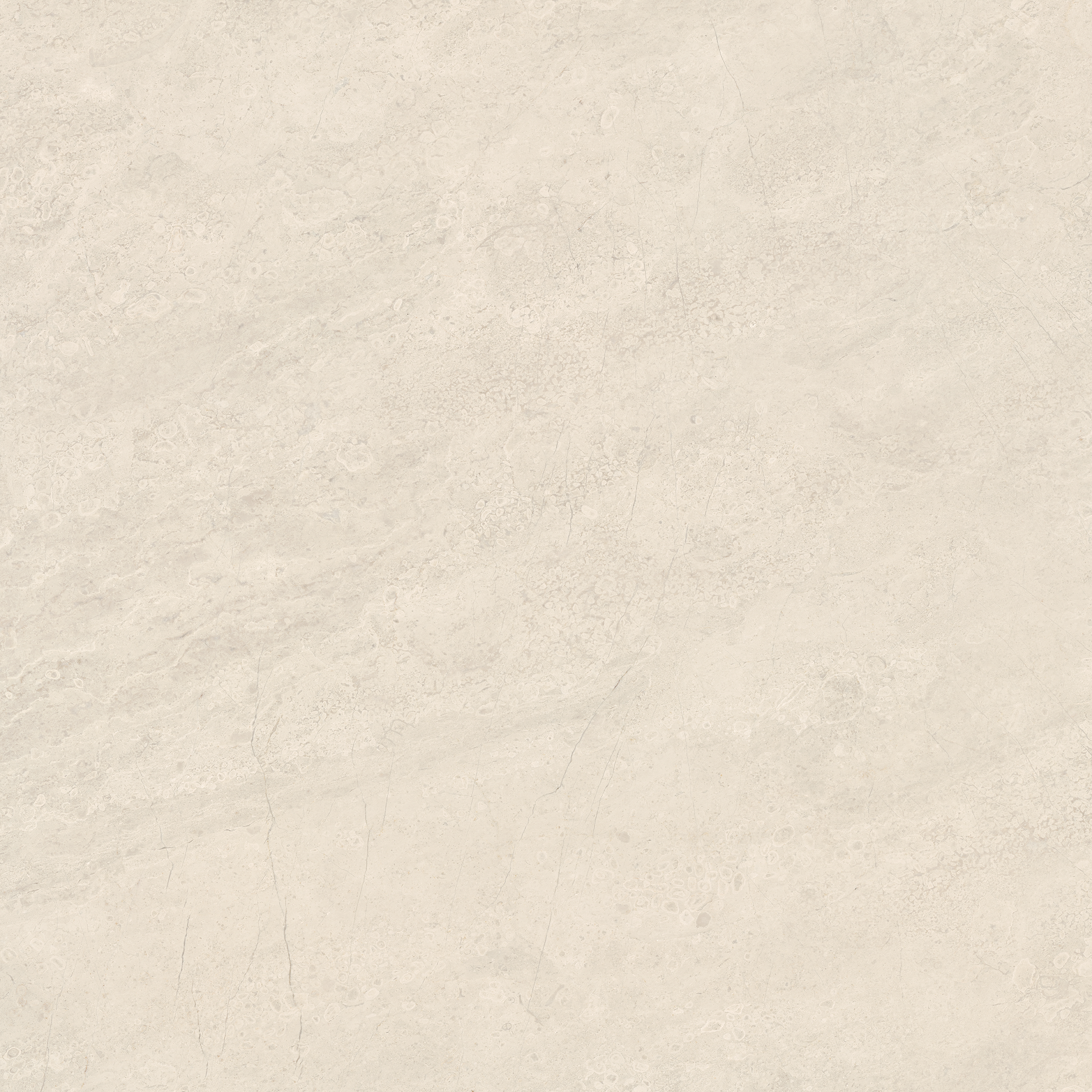allure ivory pattern glazed porcelain field tile from mayfair anatolia collection distributed by surface group international matte finish rectified edge 24x24 square shape