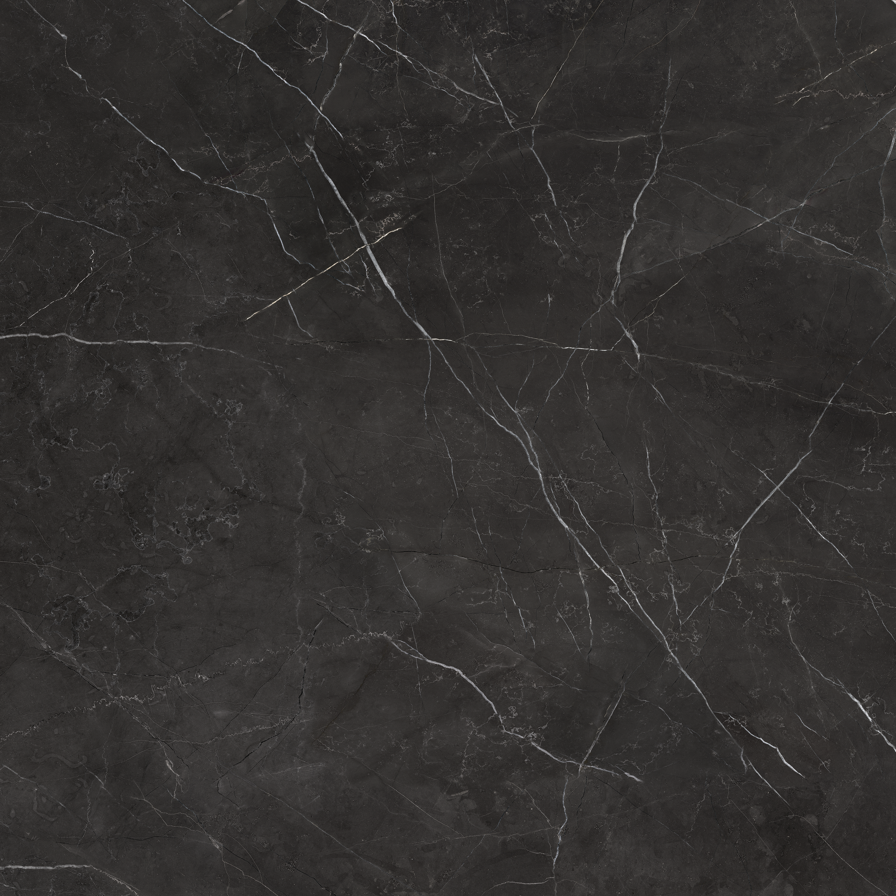 nero venato pattern glazed porcelain field tile from la marca anatolia collection distributed by surface group international polished finish rectified edge 32x32 square shape