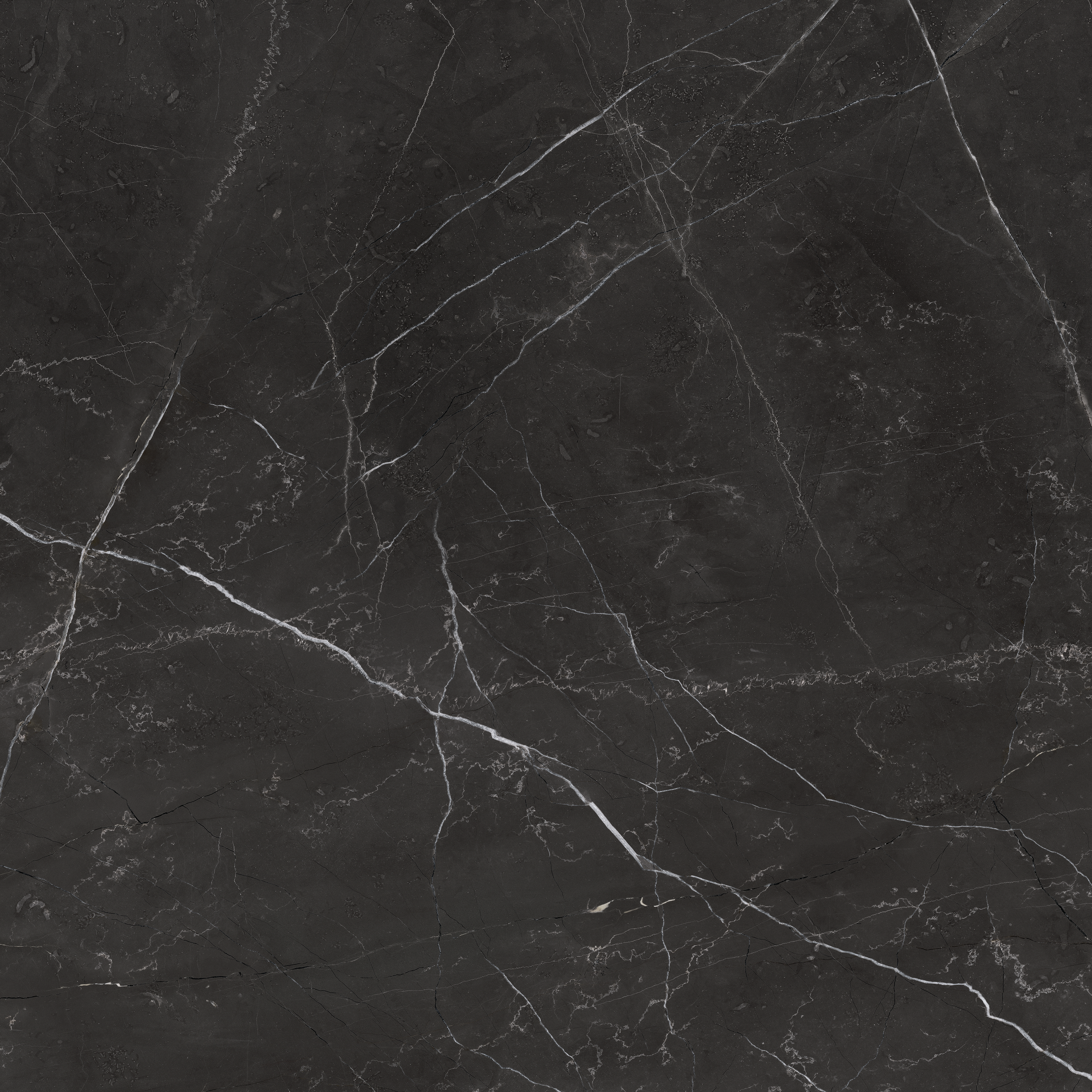 nero venato pattern glazed porcelain field tile from la marca anatolia collection distributed by surface group international polished finish rectified edge 24x24 square shape