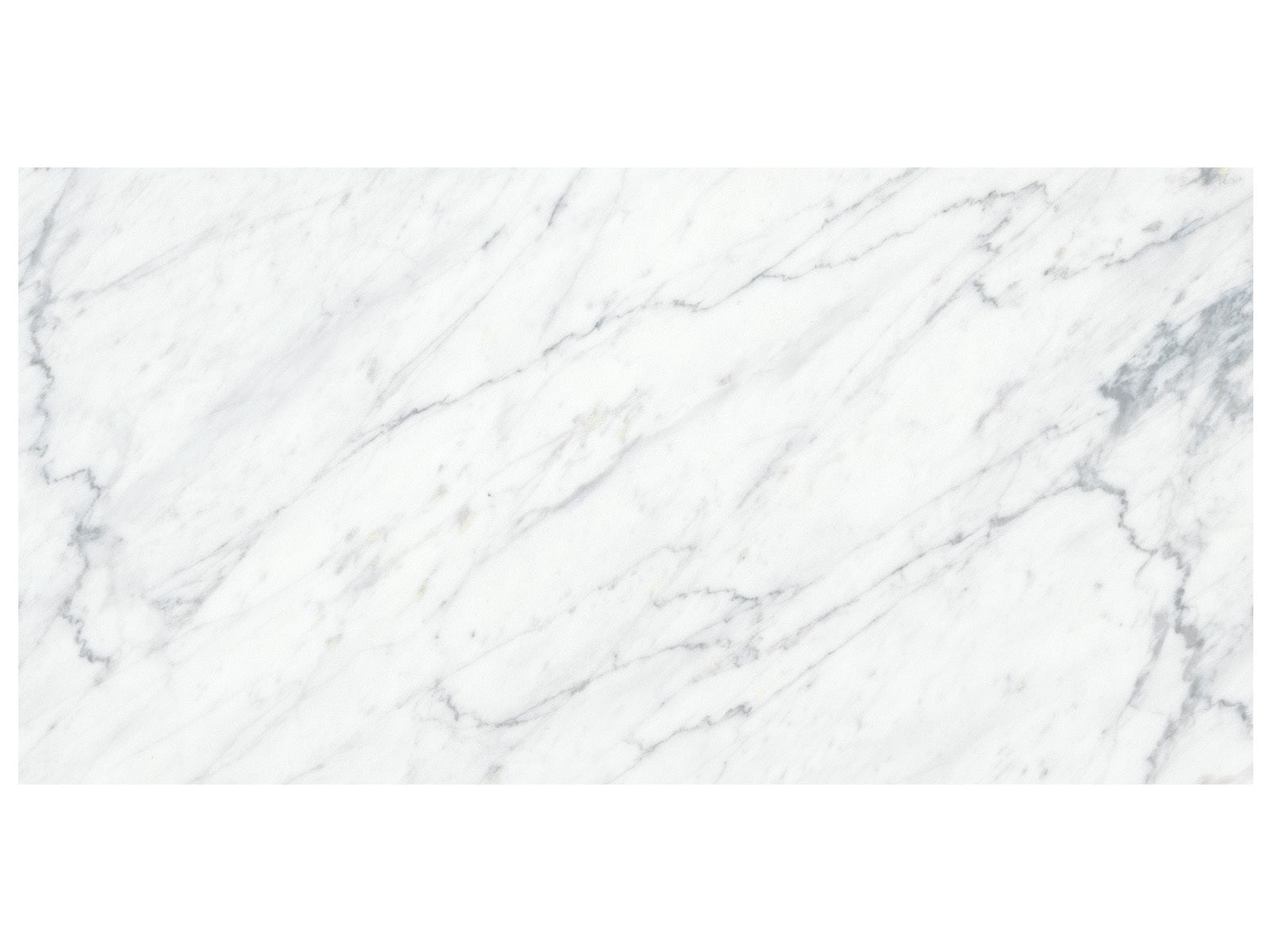 surface group anatolia marble virtue bianco natural stone field tile honed straight edge rectangle 12х24