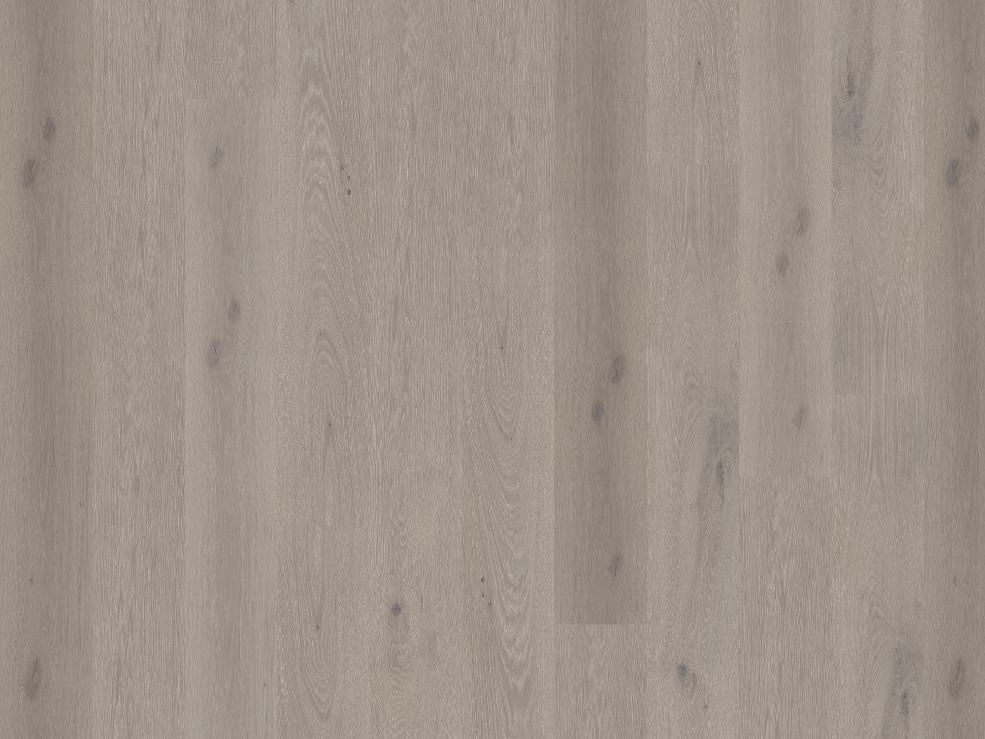 duchateau signature global winds levante european oak engineered hardnatural wood floor uv lacquer finish for interior use distributed by surface group international