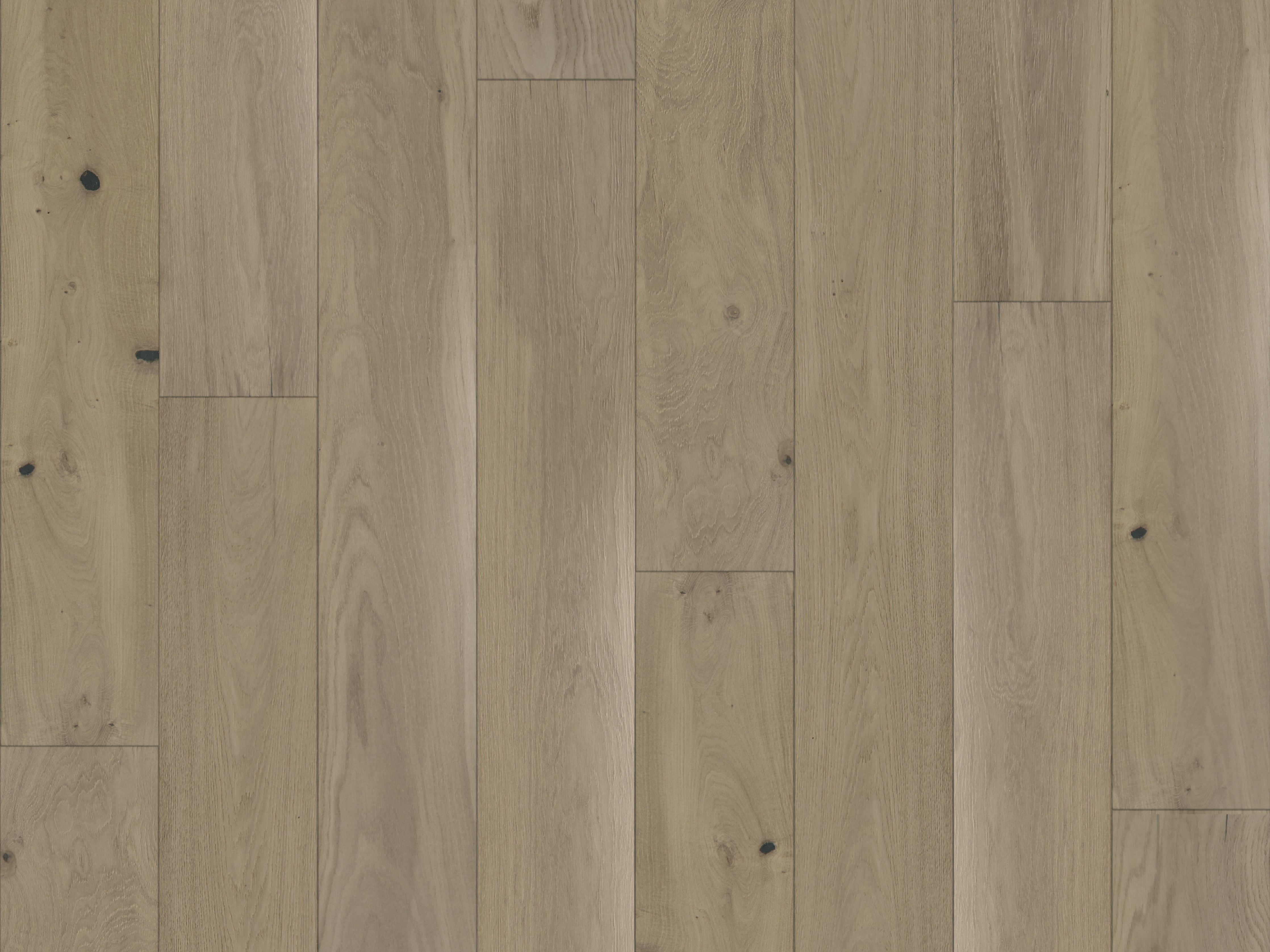 duchateau signature grande savoy vicomte european oak engineered hardnatural wood floor uv oil finish for interior use distributed by surface group international