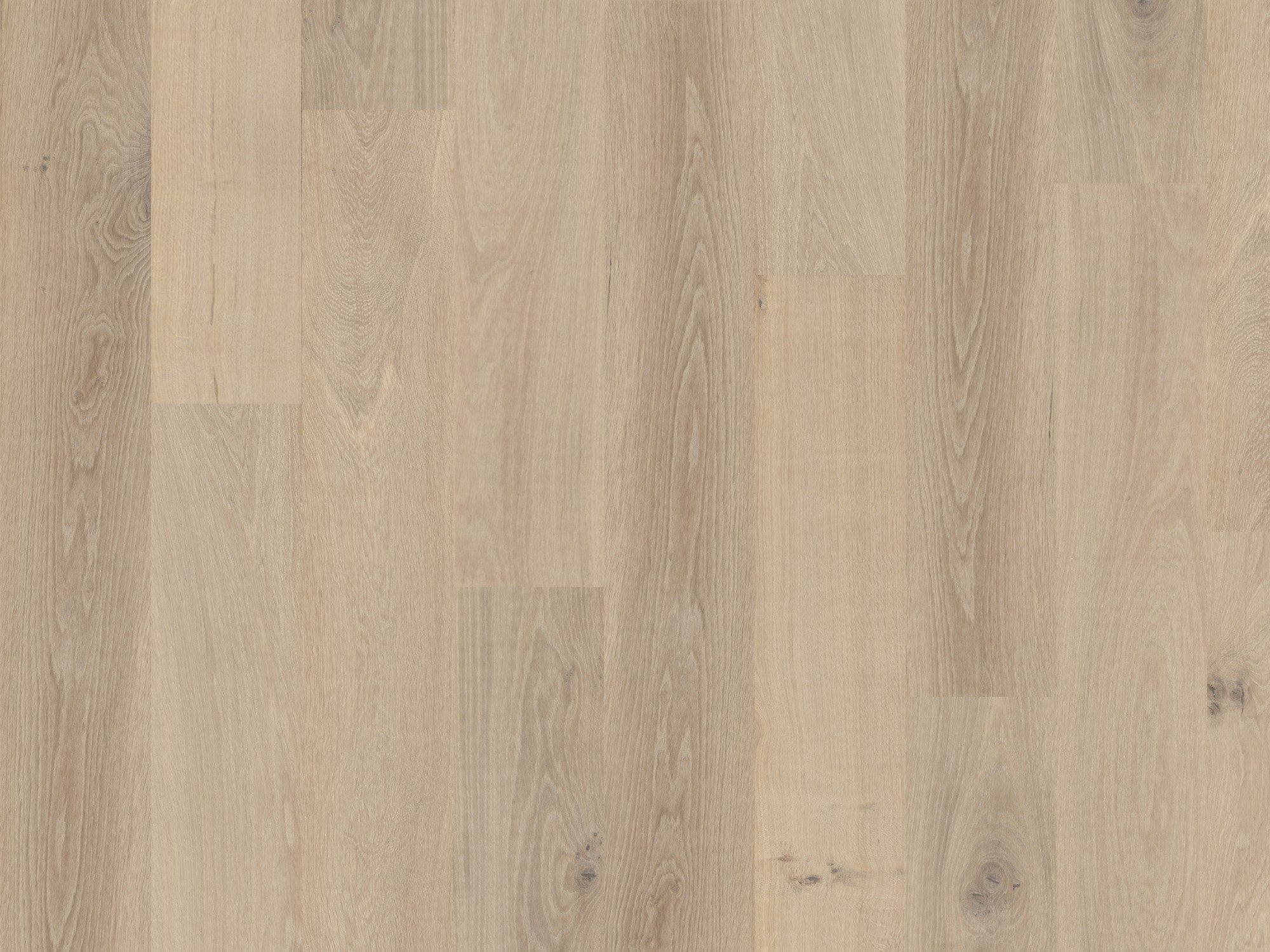 duchateau signature terra taiga european oak engineered hardnatural wood floor uv lacquer finish for interior use distributed by surface group international