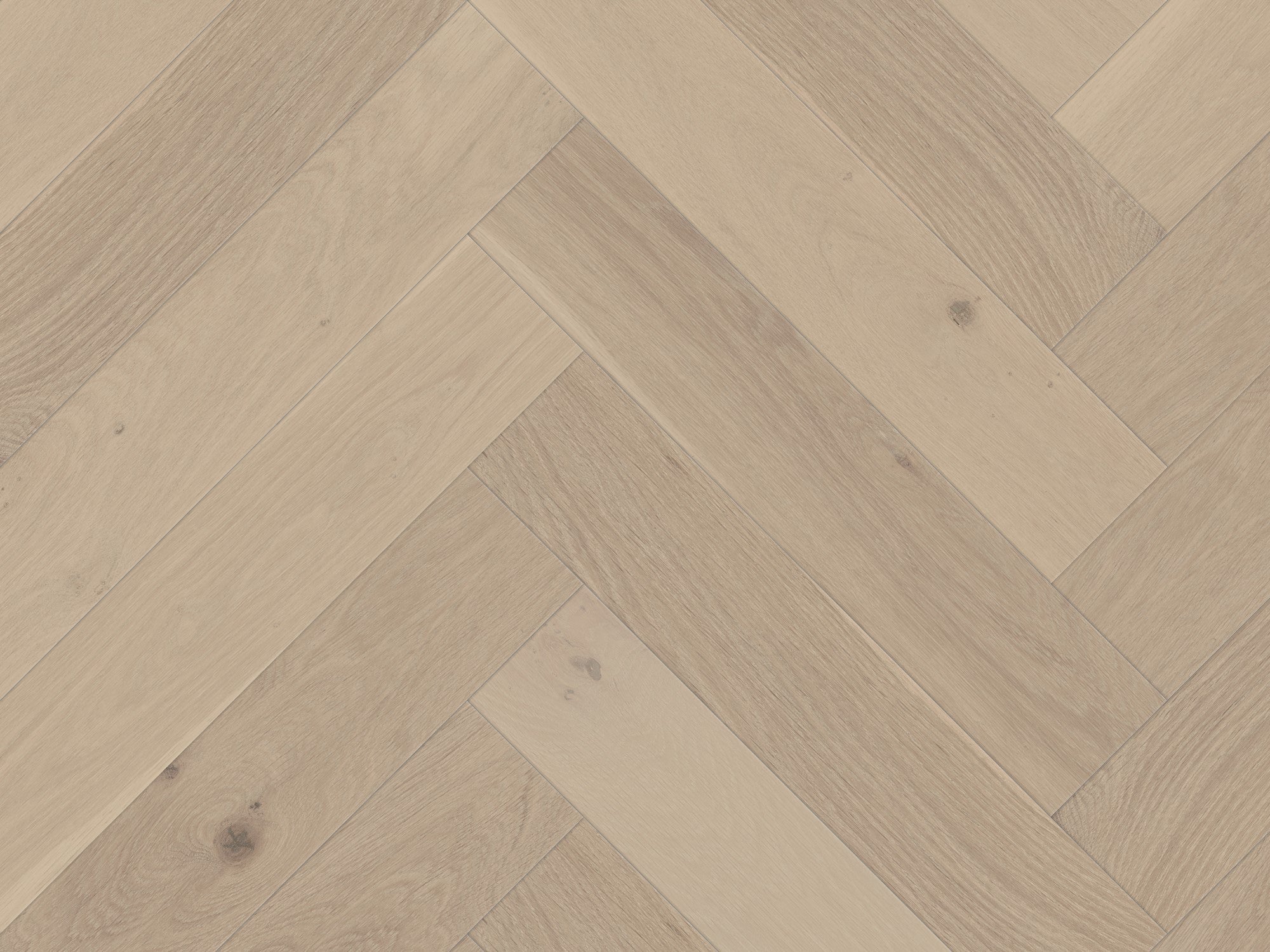 duchateau signature terra taiga herringbone european oak engineered hardnatural wood floor uv lacquer finish for interior use distributed by surface group international