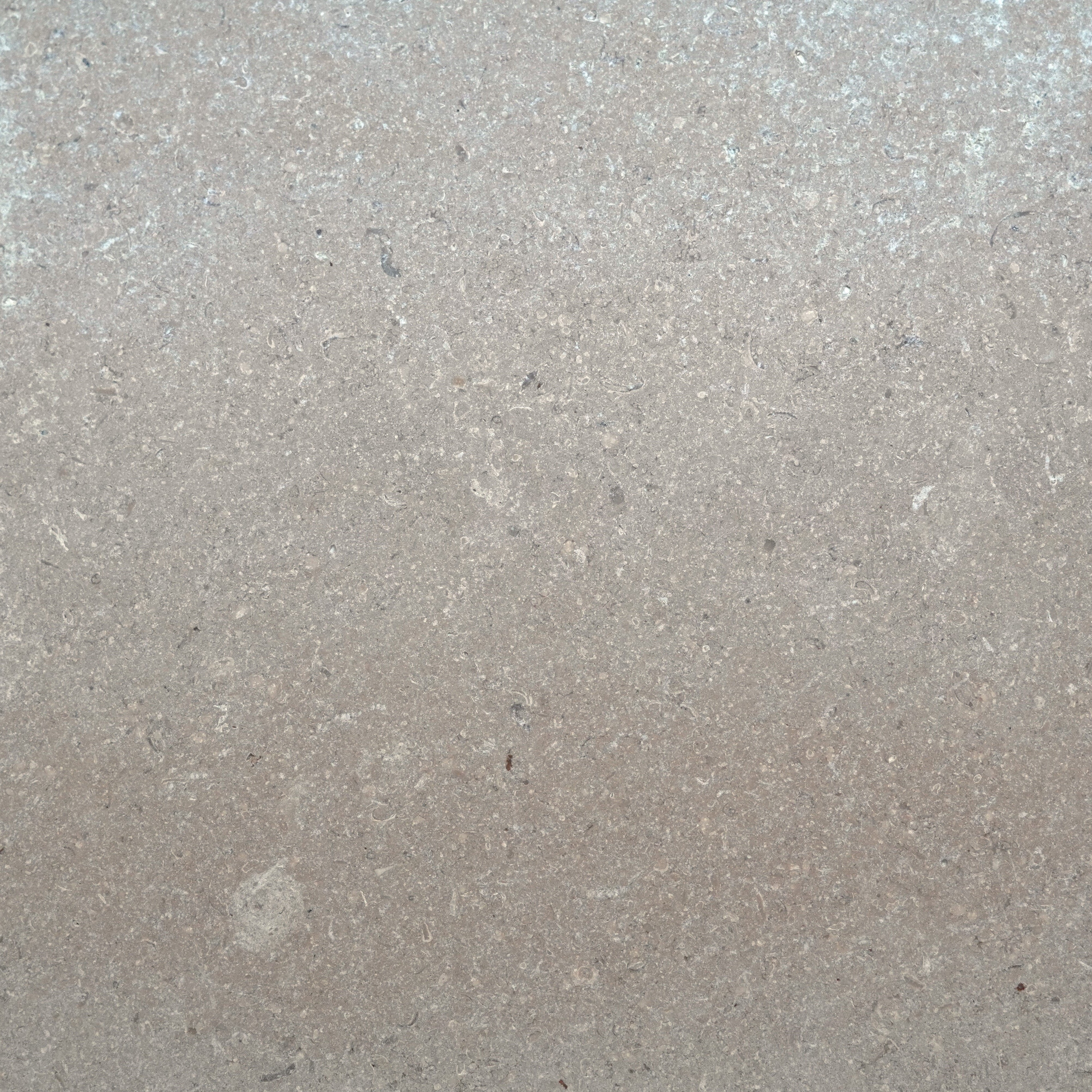 Champagne Taupe Limestone Tile