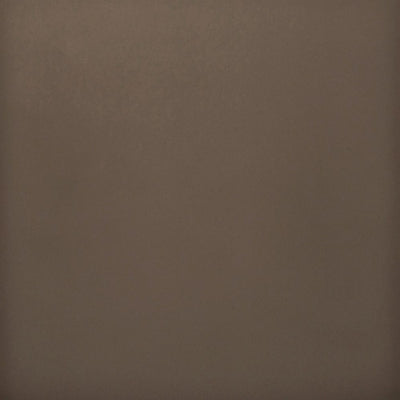 Earthy brown ceramic tile with subtle texture variation for a natural, elegant finish from the Timberline collection.