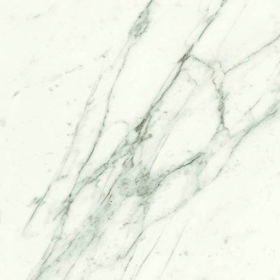 Trilogy Calacatta Calacatta Porcelain