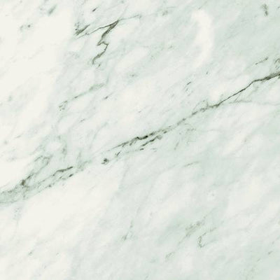 Trilogy Carrara Classic Carrara Porcelain