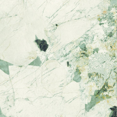 The Room White Patagonia Porcelain