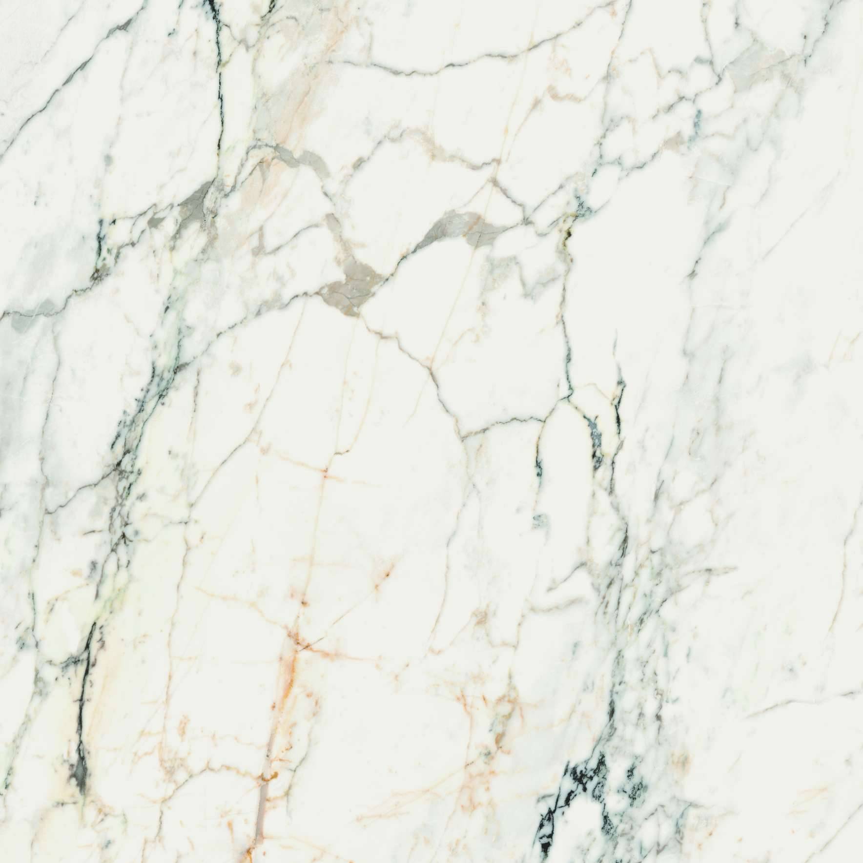 Aesthetica White Paonazzetto Porcelain