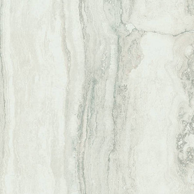 Bianco White On Porcelain