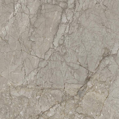 Close-up view of a square porcelain tile with a detailed marble effect, exhibiting a network of intricate grey veins and patterns on an off-white base with occasional hints of beige and tan, resembling natural stone.