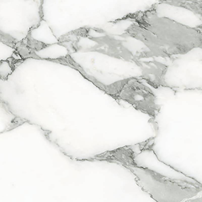 A sleek porcelain tile with a high-resolution print mimicking the natural patterns of Arabescato marble. The design features a white base with subtle gray veining, creating an elegant and classic appearance. |