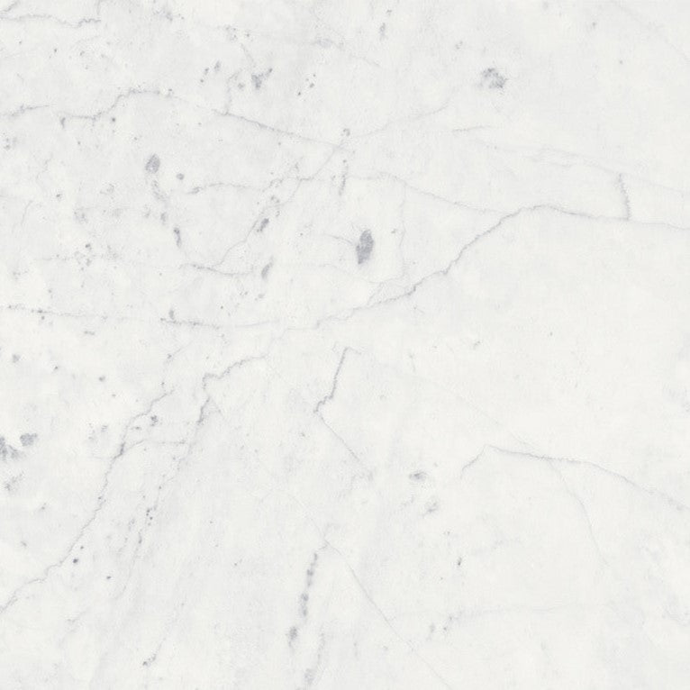eterna bianco marble white stone tile  sold by surface group