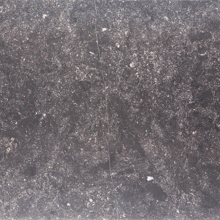 noir sully limestone gray stone tile  sold by surface group