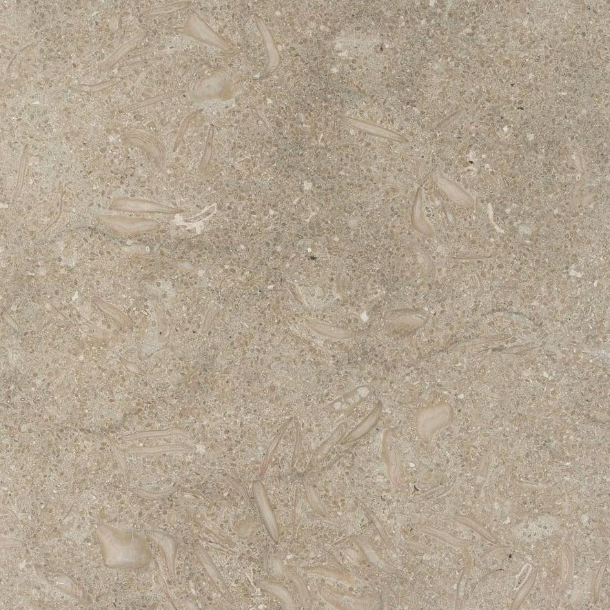 seagrass limestone brown stone tile  sold by surface group