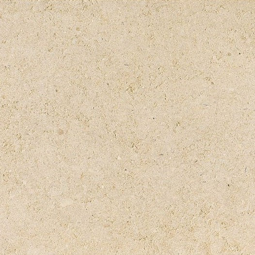 Seashell Limestone Tile
