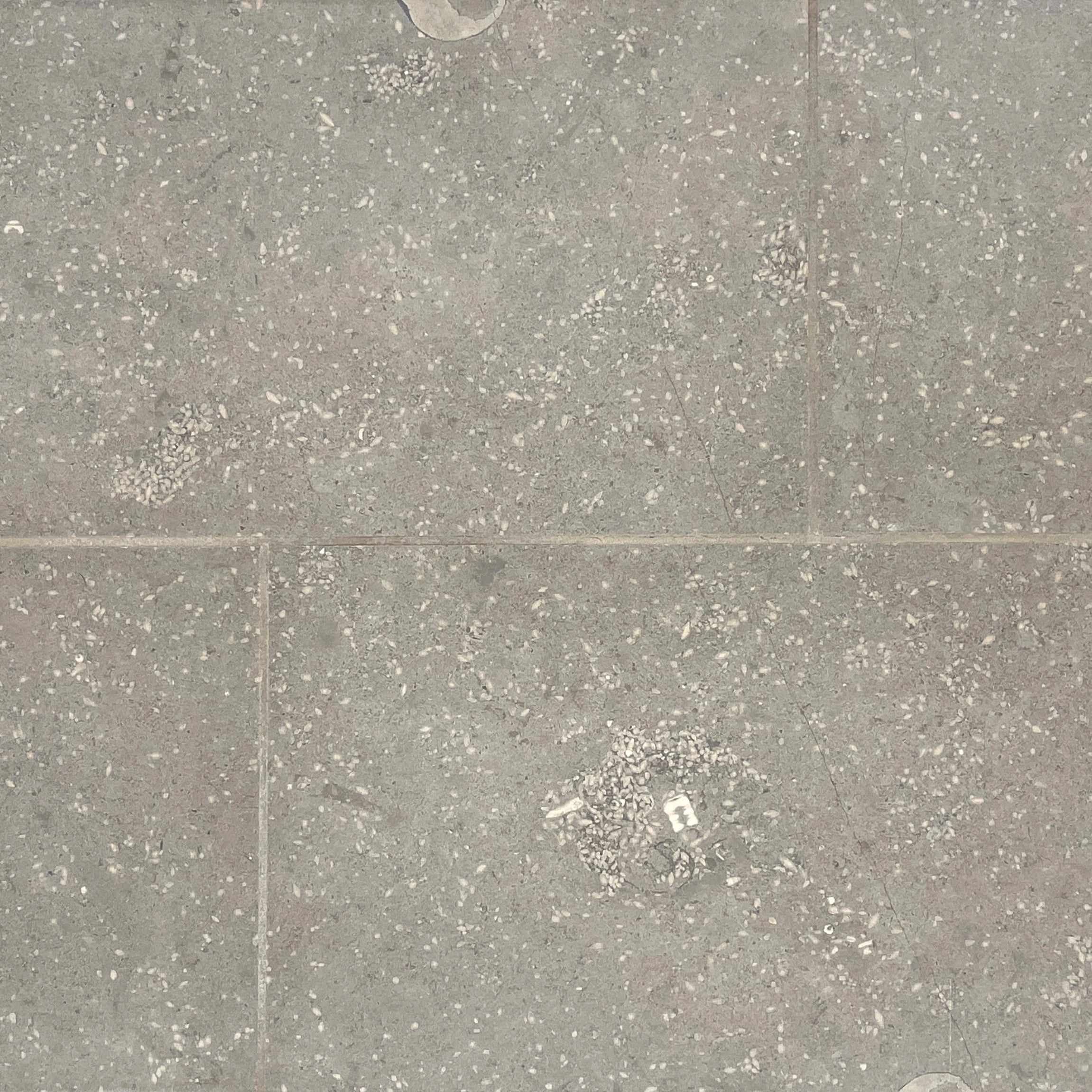 fossil star grey limestone gray stone tile  sold by surface group