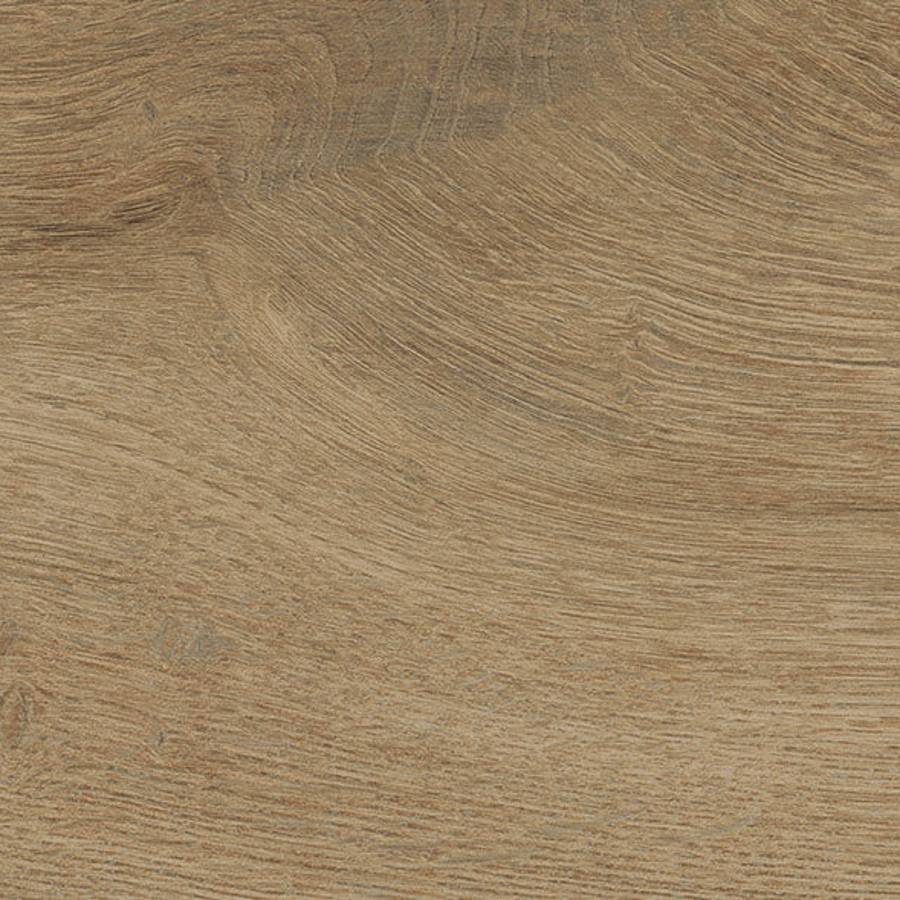 Porcelain tile with wood grain design in classic oak brown color for flooring or wall tiling by Surface Group.