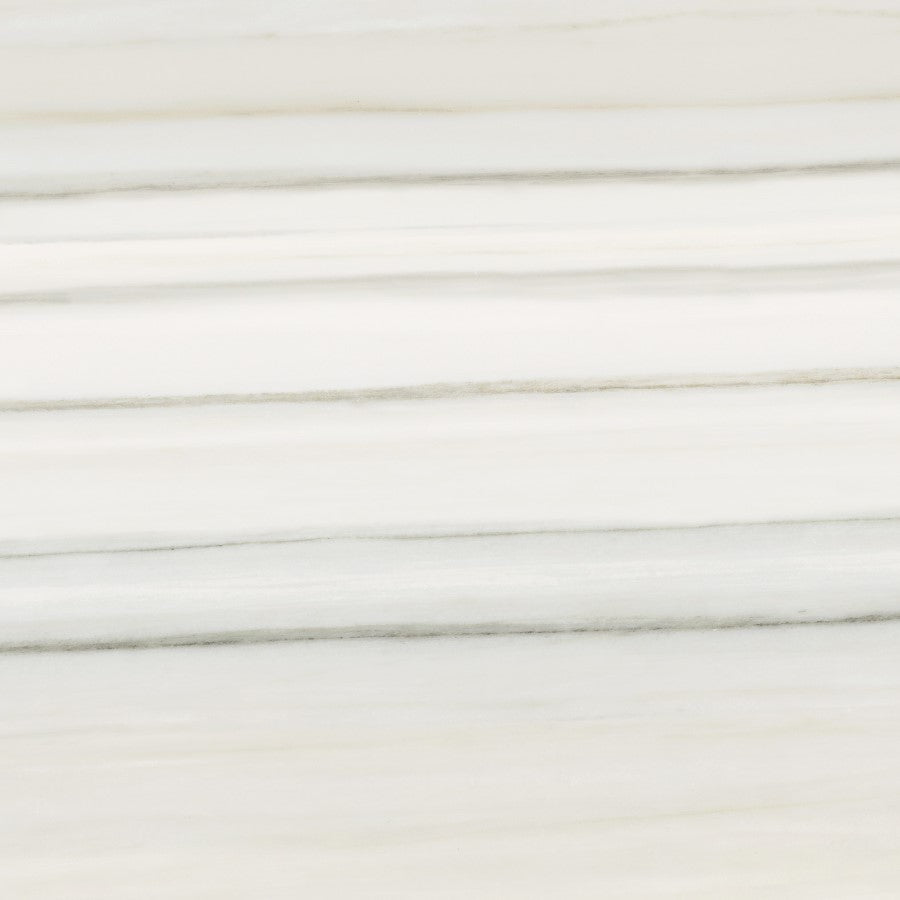 Zebrino Mayfair Porcelain