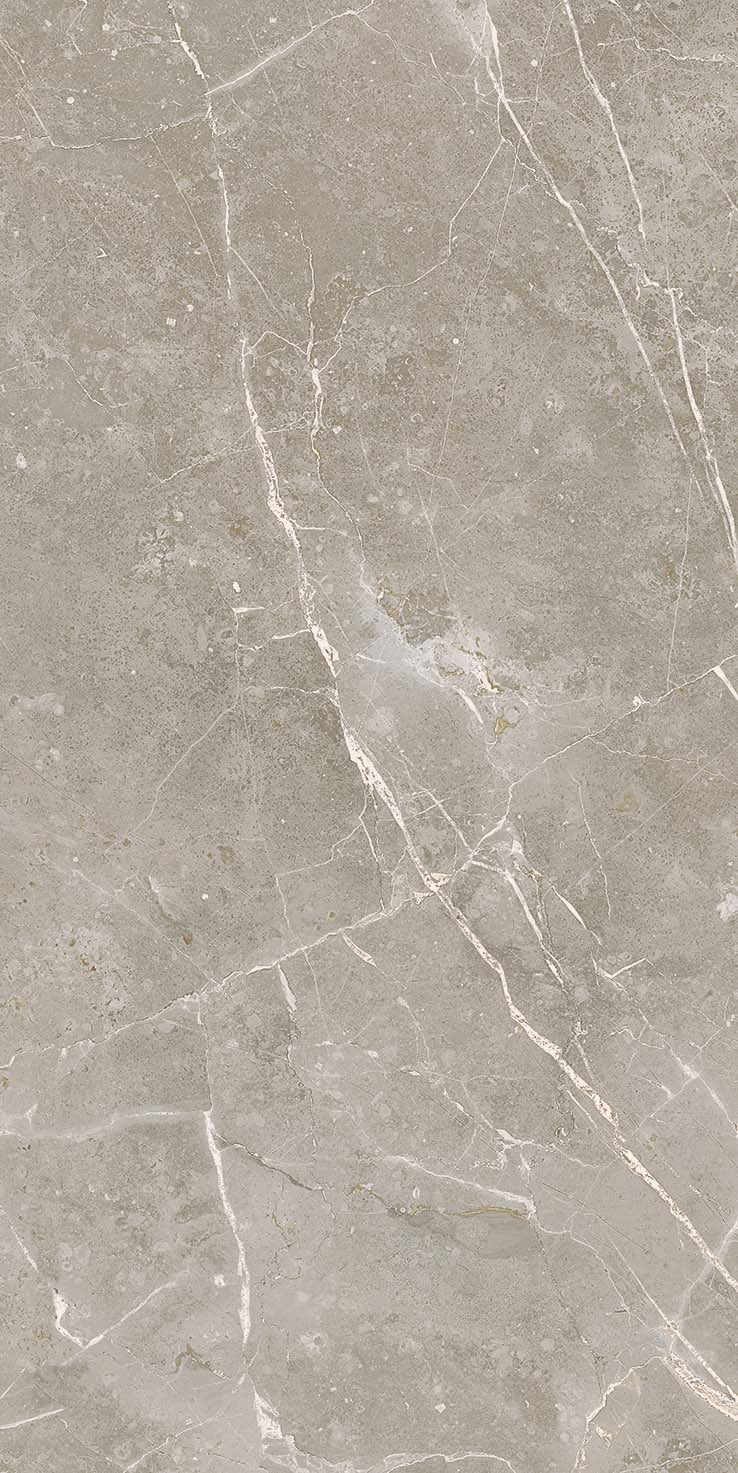 Matte Franklin Gray porcelain tile with refined marble veins, exuding timeless elegance for sophisticated modern interiors.