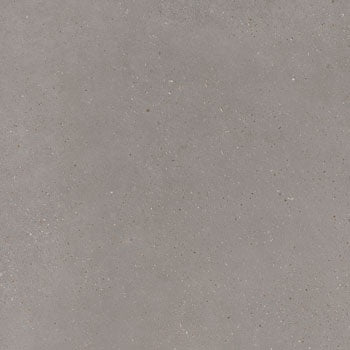 Matte silver-gray porcelain paving tile with a sleek, industrial texture, evoking the raw elegance of sedimentary rock and urban minimalism.