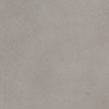 Matte silver porcelain tile with a sleek, industrial texture, evoking sedimentary rock and urban sophistication.