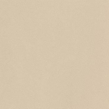 Porcelain terrazzo tile in warm almond with refined small-grain texture, embodying timeless sophistication and organic elegance.