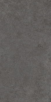 Matte dark gray porcelain tile with refined concrete texture and rectified edges for sleek, modern interiors.
