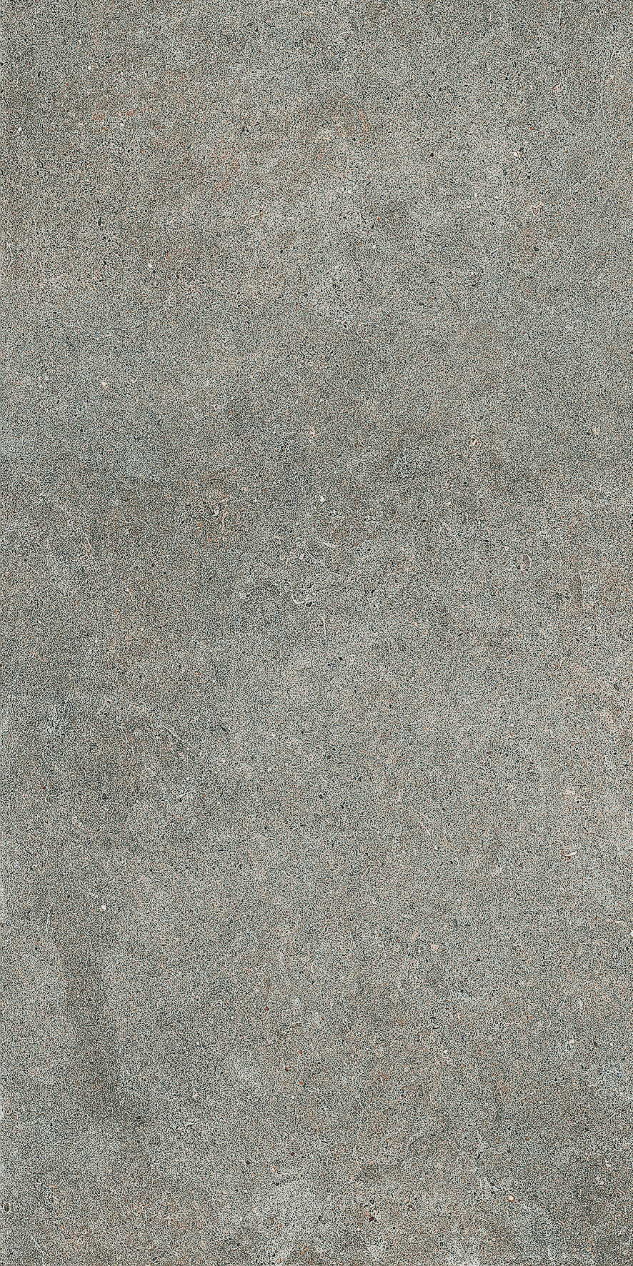 A serene dove-grey porcelain tile with a refined matte finish, evoking the quiet elegance of natural sedimentary stone.