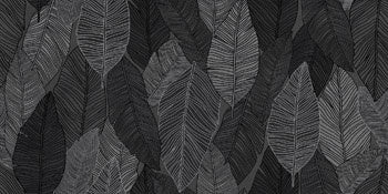 Matte black porcelain wall tile with refined contemporary elegance and a smooth, luxurious rectified edge.