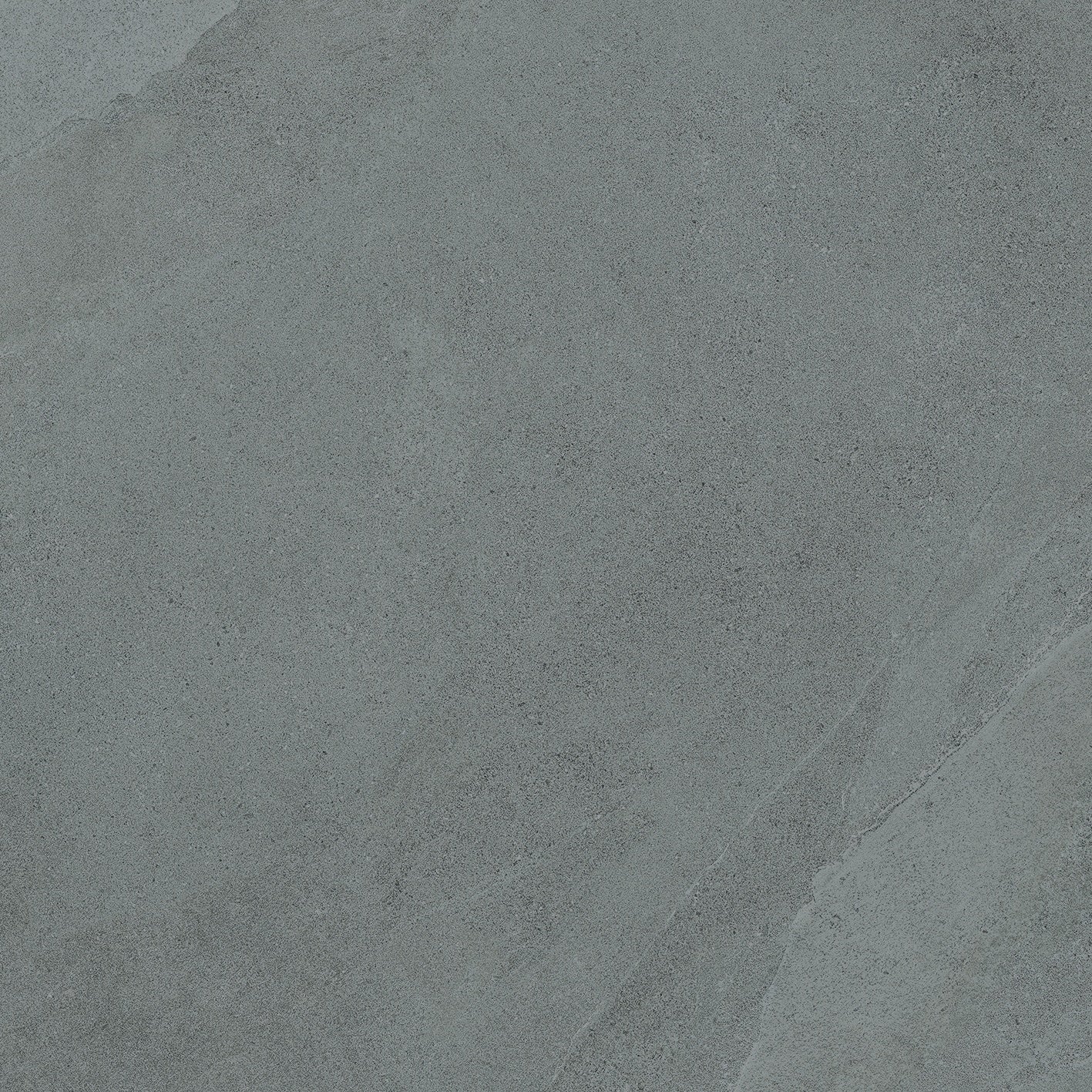 Soft gray porcelain slate tile with weathered furrows and subtle ripples, evoking the raw elegance of a stone forest. Matte, textured, and timeless.