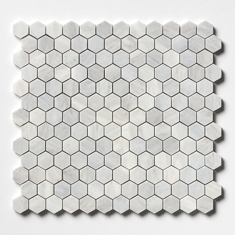 AVENZA : Hexagon Mosaic (honed | 11"x12"x5/8" | straight cut)