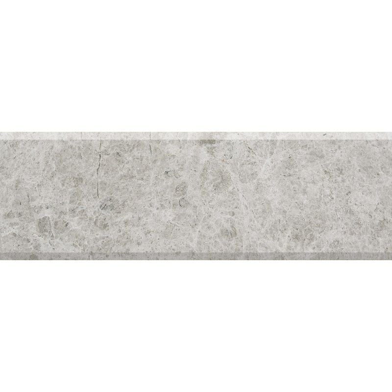 SILVER SHADOW : Threshold (polished | 4"x36"x3/4" | beveled)